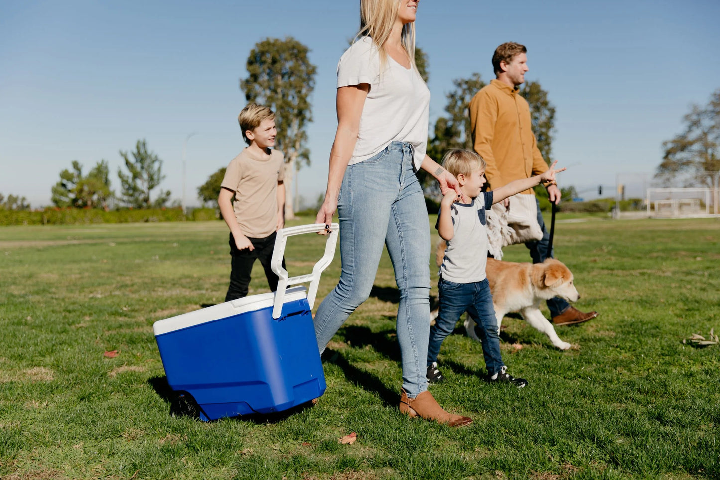 38 QT Wheelie Cool Hard Sided Cooler with Wheels, Blue