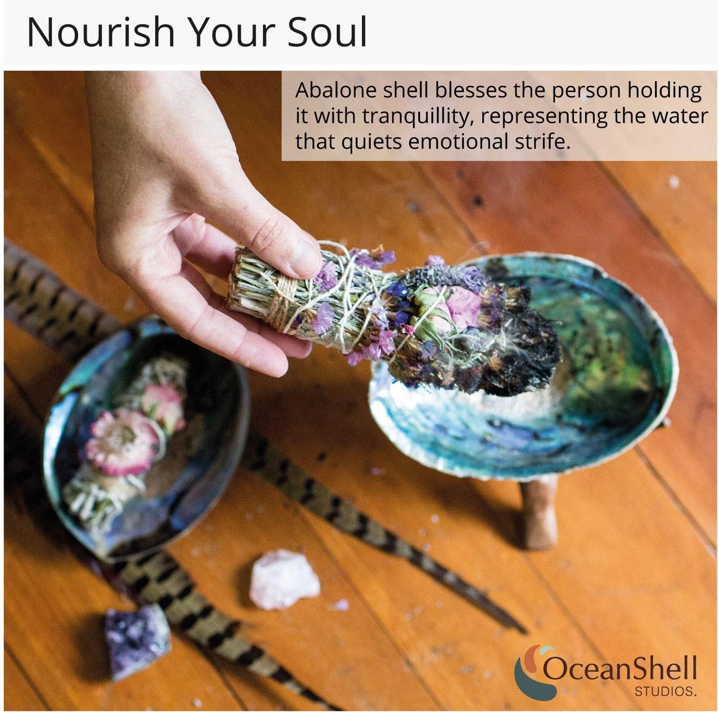 Natural Abalone (Pāua) Shell, with Stand,6-6.5 Inches,Supreme for Smudging,Cleansing Home,Meditation,Shell Crafts,Incense Holder,100% Natural, Sustainably Sourced by Ocean Shell Studios NZ