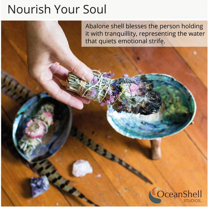 Natural Abalone (Pāua) Shell, with Stand,6-6.5 Inches,Supreme for Smudging,Cleansing Home,Meditation,Shell Crafts,Incense Holder,100% Natural, Sustainably Sourced by Ocean Shell Studios NZ